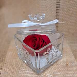 fleurs séchées à Saujon