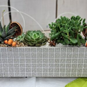 fleuriste enterrement à saujon 17