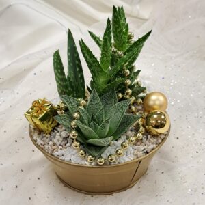 fleuriste enterrement à Saujon