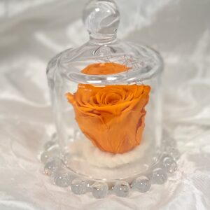 fleurs séchées à Saujon