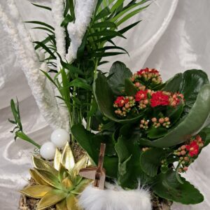 fleurs séchées à Saujon