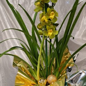 fleuriste à saujon 17