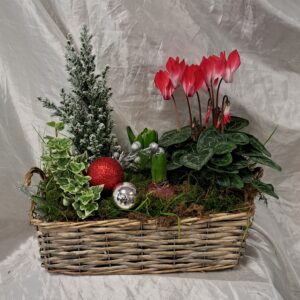 fleuriste enterrement à saujon 17