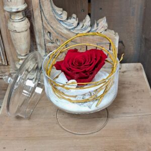 fleurs séchées à saujon 17