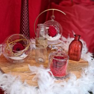 fleurs séchées à saujon 17