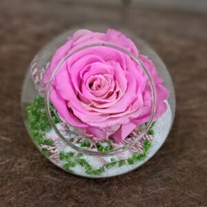 livraison de fleurs à saujon 17