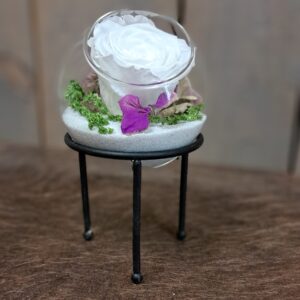 fleuriste enterrement à saujon 17