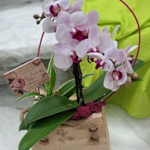 fleuriste enterrement à Saujon