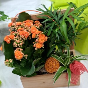 livraison de fleurs à saujon 17