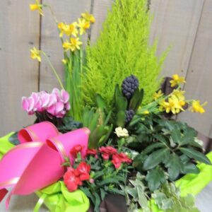 fleurs séchées à saujon 17