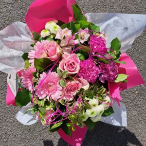 fleurs séchées à saujon 17