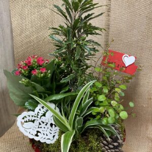 fleuriste mariage à saujon 17