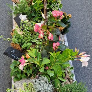 livraison de fleurs à saujon 17