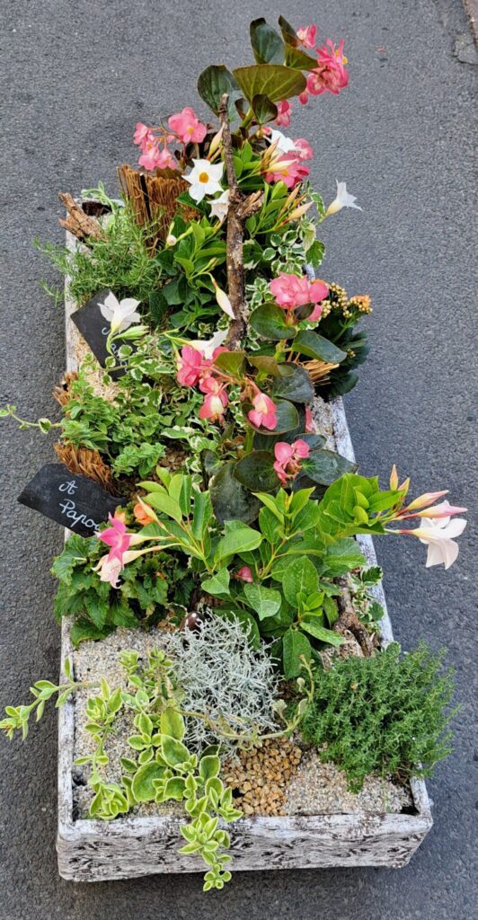 livraison de fleurs à saujon 17