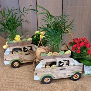 fleuriste enterrement à saujon 17