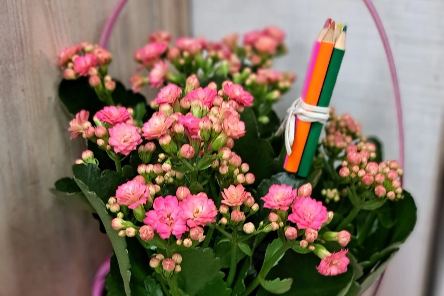 fleuriste enterrement à Saujon