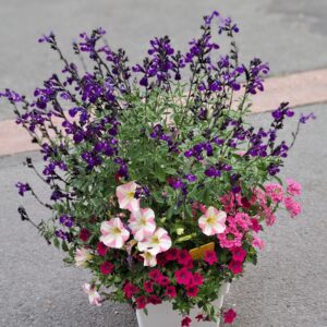 fleuriste à saujon 17