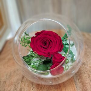 fleuriste à saujon 17