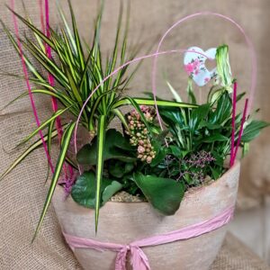 fleuriste à saujon 17