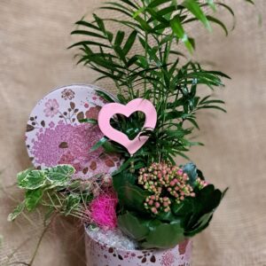 livraison de fleurs à Saujon