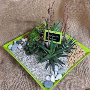 fleuriste à Saujon